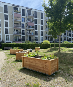 Jardins partagés dans caisses en bois à Erlenmatt