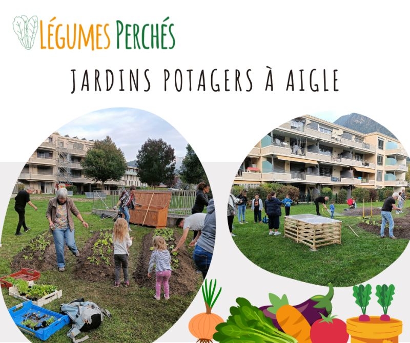 Légumes Perchés jardins potagers à Aigle